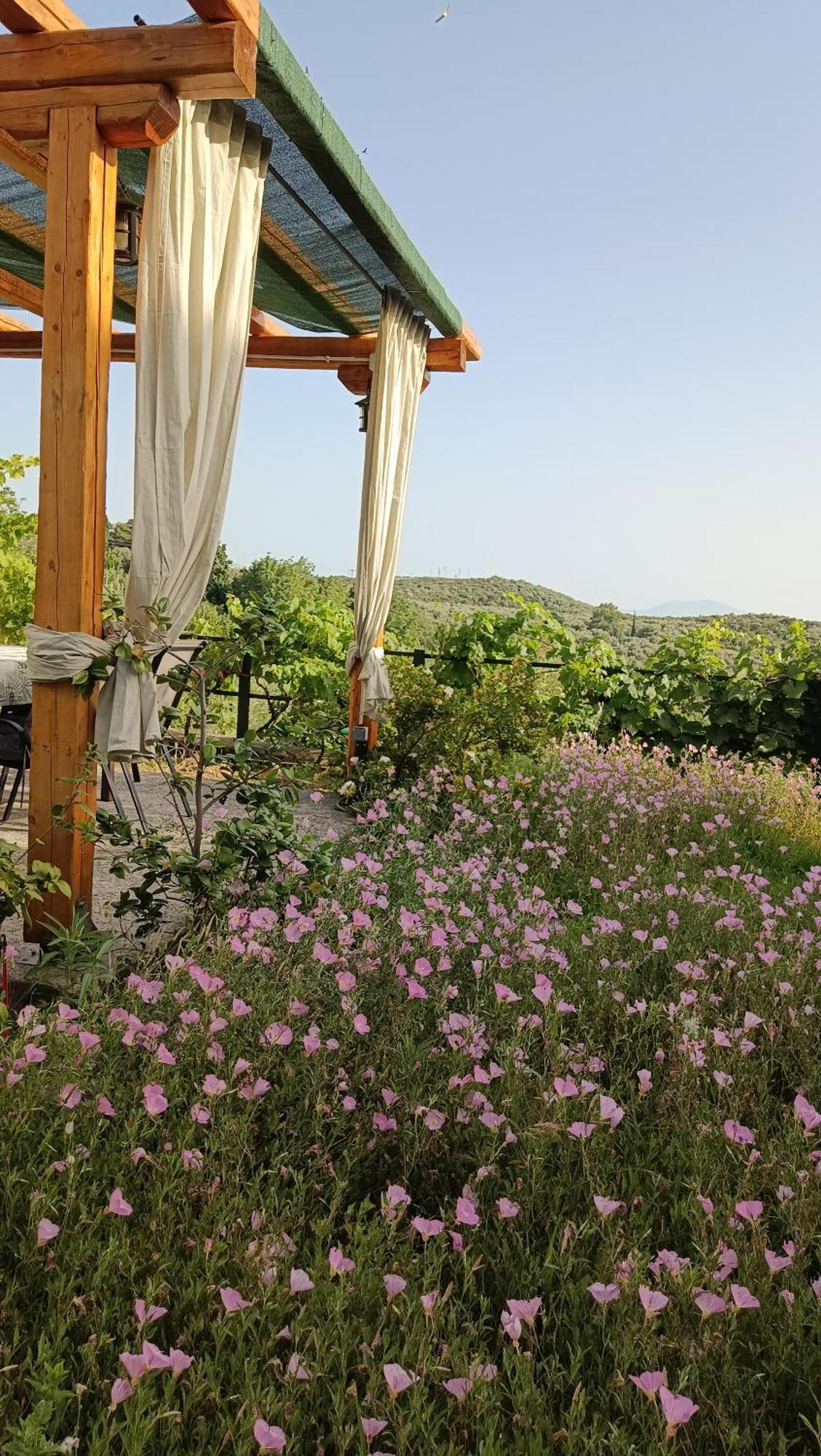 Mikros Paradisos Pelion Áyios Vlásios Exterior foto