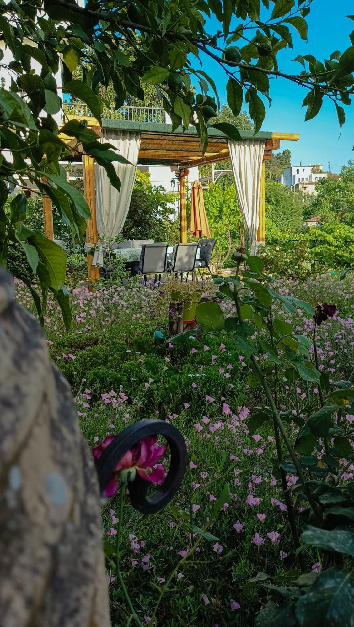 Mikros Paradisos Pelion Áyios Vlásios Exterior foto